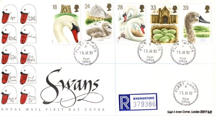 Swans, Beak Markings