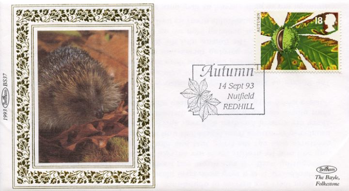 4 Seasons: Autumn, Hedgehog