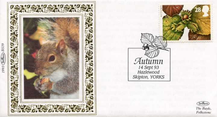 4 Seasons: Autumn, Squirrel