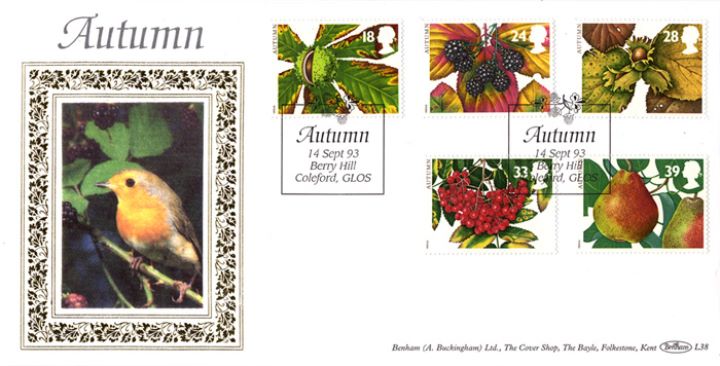 4 Seasons: Autumn, Robin