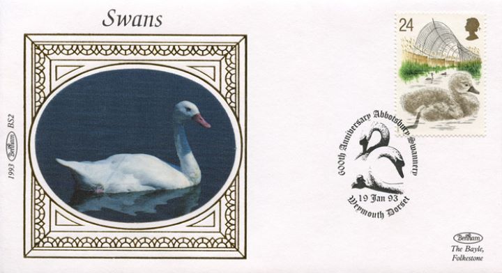 Swans, Swan