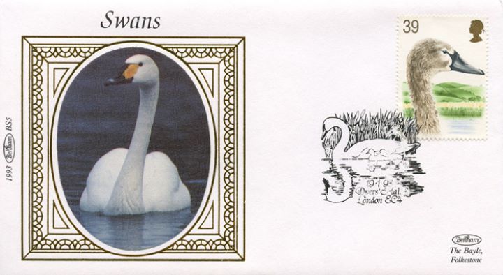 Swans, Swan