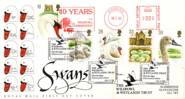 Swans, Wildfowl Conservation