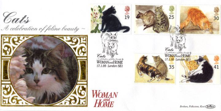 Cats, Woman and Home