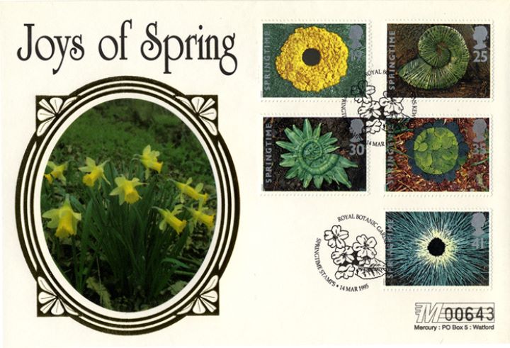 4 Seasons: Spring, Daffodils