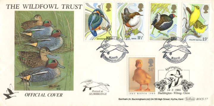 British Birds 1980, Birds - Double Dated Cover