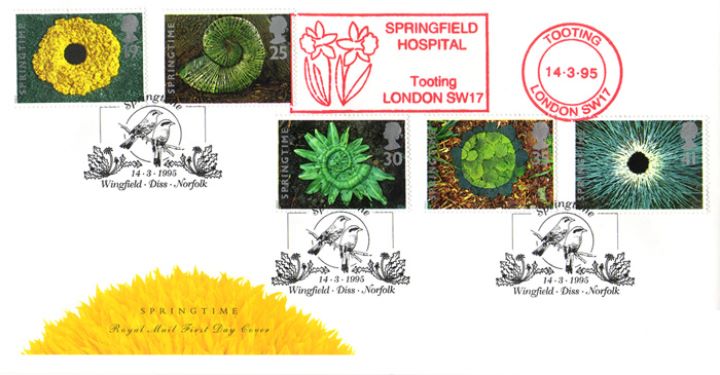 4 Seasons: Spring, Dandelion