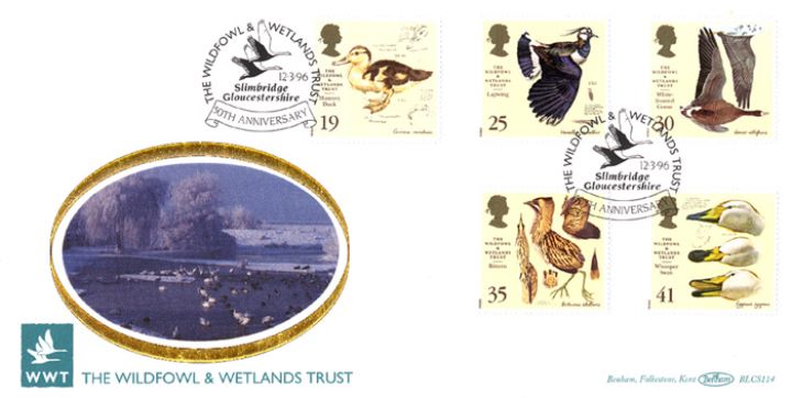 Wildfowl & Wetlands Trust, Wildfowl at Slimbridge