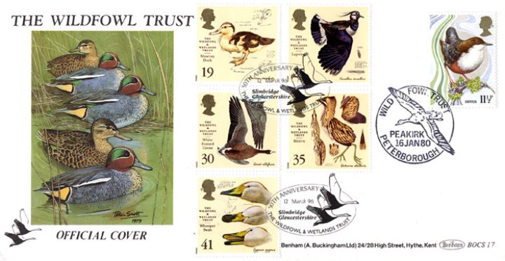 Wildfowl & Wetlands Trust, Painting by Peter Scott