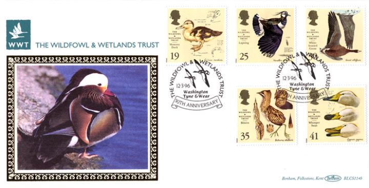 Wildfowl & Wetlands Trust, Duck