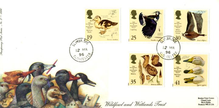 Wildfowl & Wetlands Trust, Wildfowl Birds