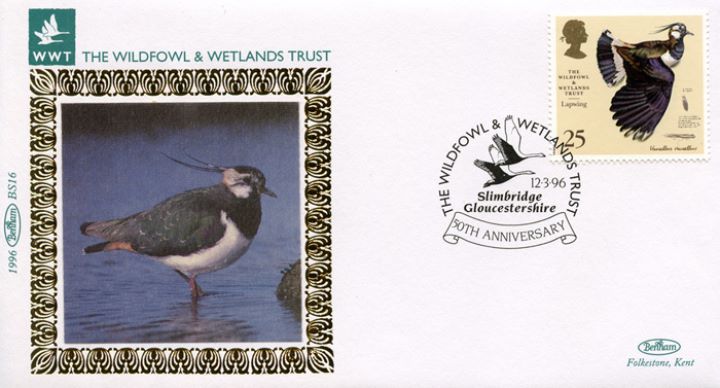 Wildfowl & Wetlands Trust, Lapwing