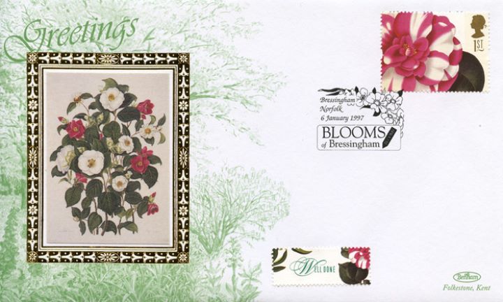 Flower Paintings (Greetings), Camellia japonica