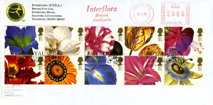 Flower Paintings (Greetings), Interflora