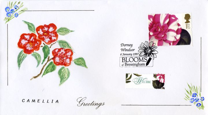 Flower Paintings (Greetings), The Camellia