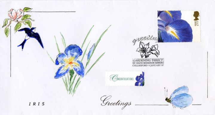 Flower Paintings (Greetings), The Iris