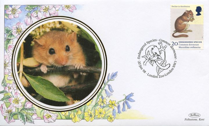 Endangered Species, Common Dormouse