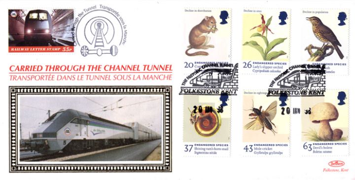 Endangered Species, Channel Tunnel