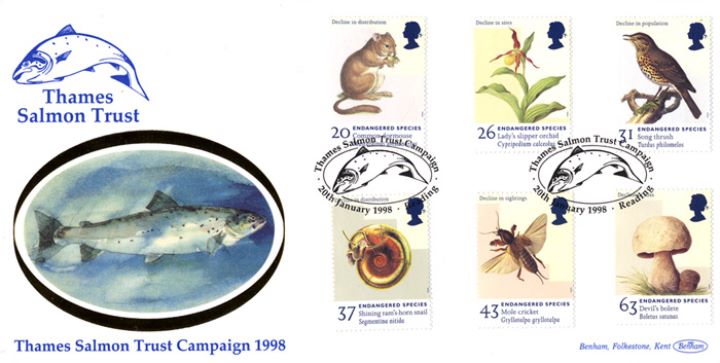 Endangered Species, Thames Salmon Trust