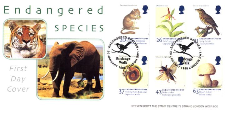 Endangered Species, Tiger and Elephant