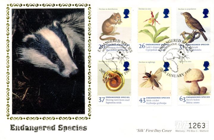 Endangered Species, The Badger