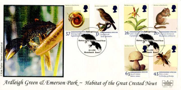 Endangered Species, Great Crested Newt