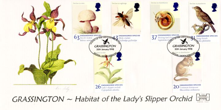 Endangered Species, Lady's Slipper Orchid