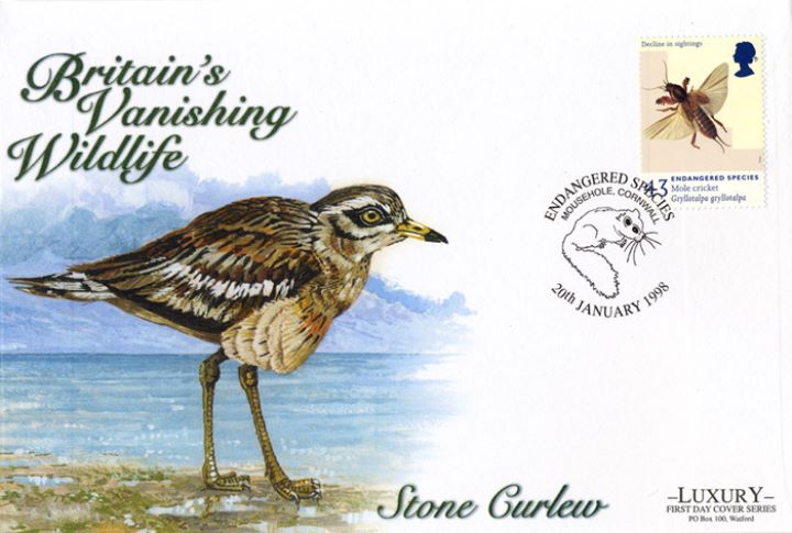 Endangered Species, Stone Curlew