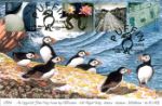 Water & Coast
Puffins