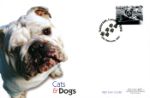 Cats & Dogs
Bulldog