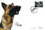 Cats & Dogs
Alsatian