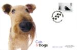 Cats & Dogs
Wire Haired Terrier