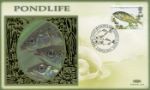 Pondlife
Sticklebacks