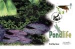 Pondlife
Aquatic Plant Life