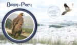 Birds of Prey
Golden Eagle