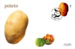 Fun Fruit and Veg
Potato