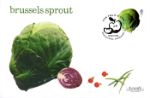 Fun Fruit and Veg
Brussels Sprout