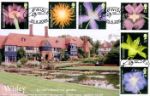 Royal Horticultural Society
Wisley