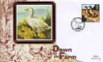 Farm Animals
Duck with chicks