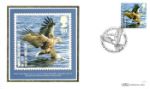 Birds (Endangered Species)
White Tailed Eagle