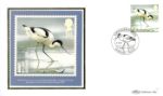 Birds (Endangered Species)
Avocet