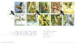 Birds (Endangered Species)
Flock of Birds