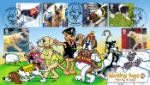 Working Dogs
Cartoon Dogs