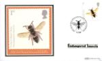 British Insects
Purbeck Mason Wasp