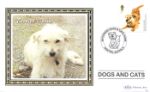 Battersea Dogs & Cats Home
Terrier Cross