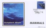 Mammals
Humpback Whale