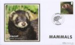 Mammals
Polecat