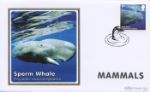 Mammals
Sperm Whale