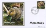 Mammals
Water Vole