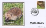 Mammals
Hedgehog